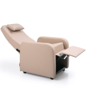 Fauteuil D'accompagnement